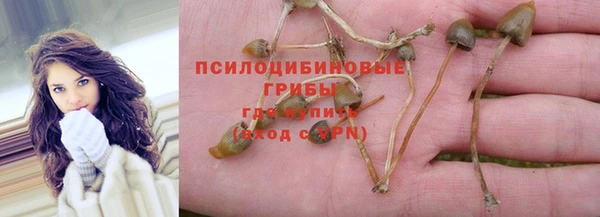 кокс Алзамай